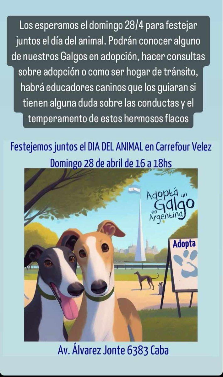 AdoptaUnGalgo's tweet image. Este domingo nos vemos en Carrefour Vélez (CABA) desde las 16. Los esperamos!
#DiaDelAnimal
@carrefourarg