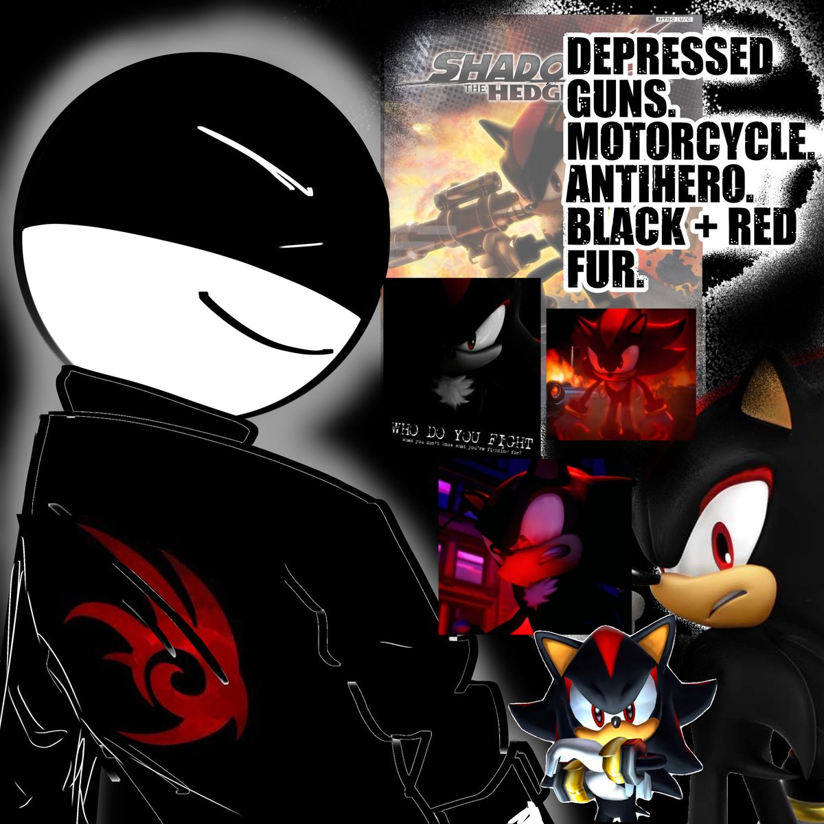 Sonic and Shadow fans. There’s no in between 

#shadowthehegehog #sonicthehedgehog  #sonicfanart #sonicmeme