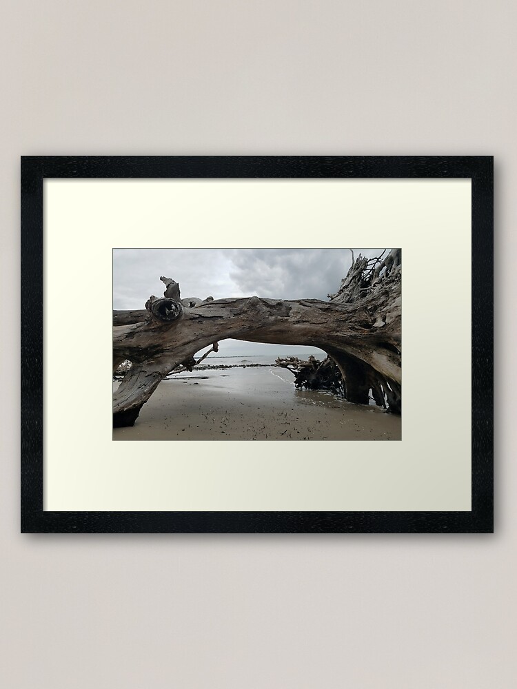 Sharing Our Photography all on a variety of products. Gifts for anyone, including yourself. 

Please Visit, Shop, and Share 
Thank you
PodTidings.redbubble.com

#jekyllisland #beach
#driftwood #beautiful #photography #georgia #driftwood #stsimonsisland #ssi #gifts #art