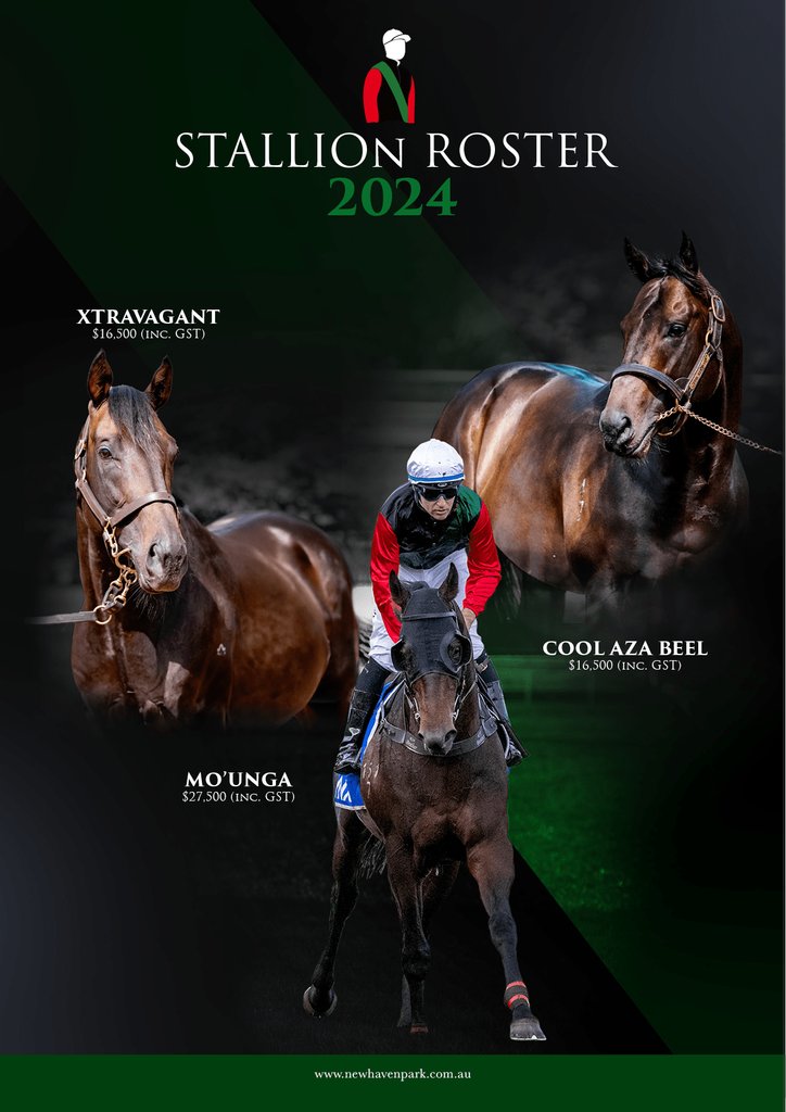 🖤 @NewhavenPark 💚 🔥 MO'UNGA 🔥 XTRAVAGANT 🔥 COOL AZA BEEL