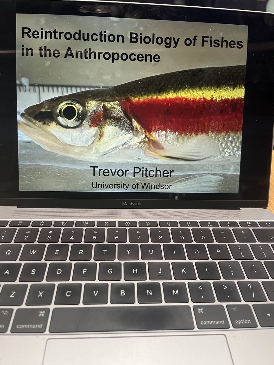 In transit to ⁦@UAlberta⁩ to meet up with ⁦@MarkPoesch⁩ and Keith Tierney and lay the groundwork for summer field research in western Canada… also sneaking a quick seminar while in town