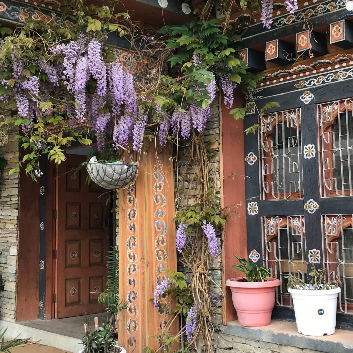 abundant wisteria— like knowledge within the National Library, Thimphu.