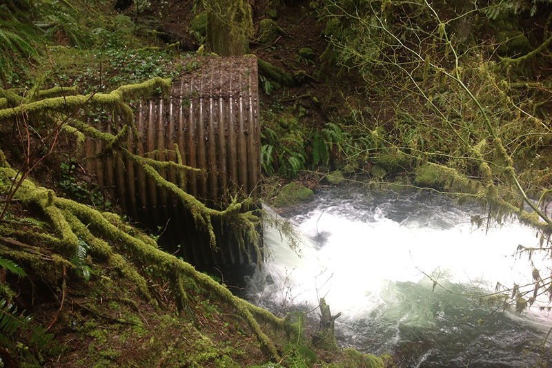 ICYMI: #ClackCo and watershed councils partner to deliver critical stormwater improvements to four waterways. Efforts will reconnect fish habitat and reduce flooding potential in Clackamas County. bit.ly/4aG66gW