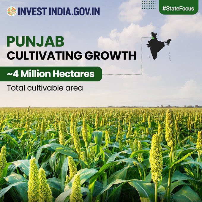#Punjab is leading in #agricultural production, with 82% of the total reported area devoted to cultivation, contributing to India’s food security #ConnectingHimalayasWithMountFuji #IBN
