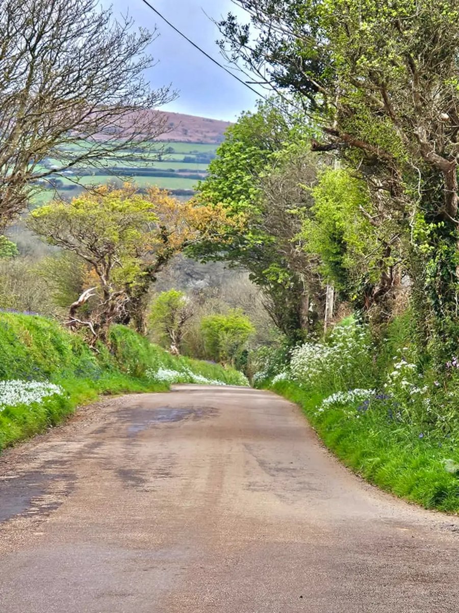 Godolphin Cross Cornwall 
Diane Redshaw 📸