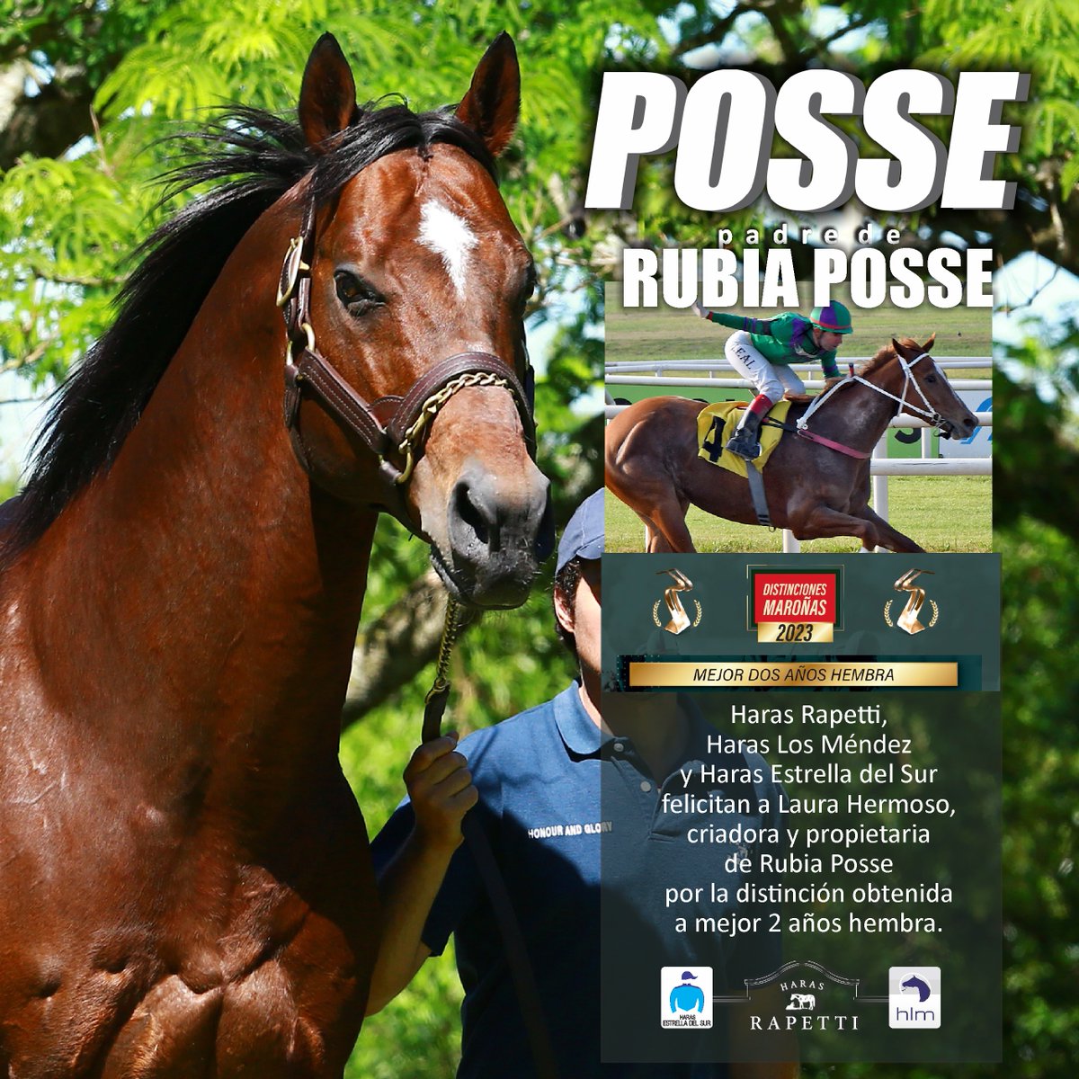 POSSE DISTINGUIDO
Haras Rapetti, Haras Los Méndez  y Haras Estrella del Sur felicitan a Laura Hermoso, criadora y propietaria
de Rubia Posse por la distinción obtenida a mejor 2 años hembra
<a href="/PuchiGarcia33/">Hector Garcia</a>