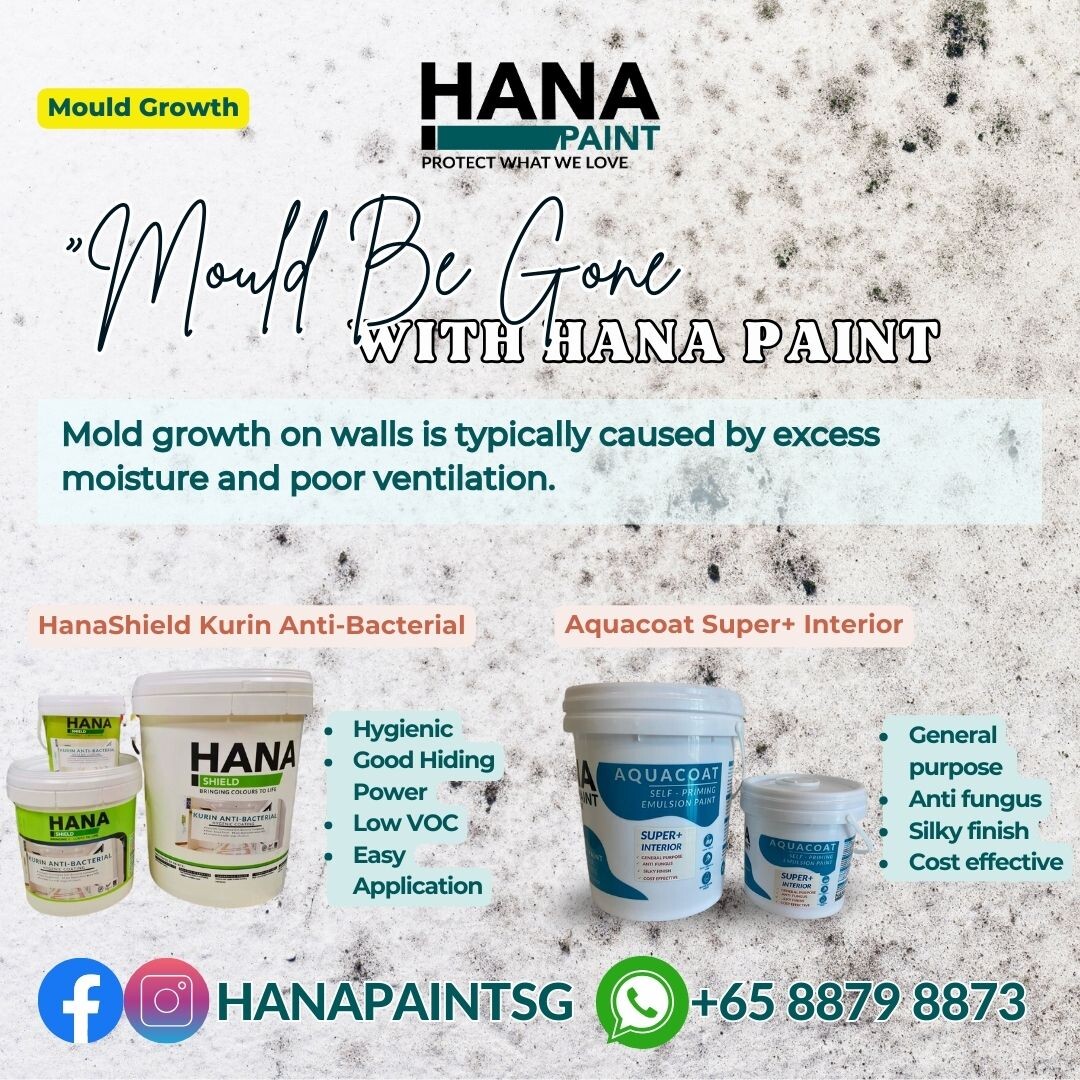 Mould making an unwelcome appearance? See how we tackle it head-on for a healthier home. 🏠💪 #MouldFree #CleanLiving #StopMould #HealthyHome #HanaPaint