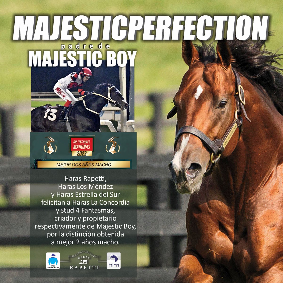 DISTINCIÓN PARA MAJESTICPERFECTION
Haras Rapetti, Haras Los Méndez y Haras Estrella del Sur felicitan a Haras La Concordia y stud 4 Fantasmas,
criador y propietario respectivamente de Majestic Boy,
por la distinción obtenida a mejor 2 años macho.
<a href="/PuchiGarcia33/">Hector Garcia</a>