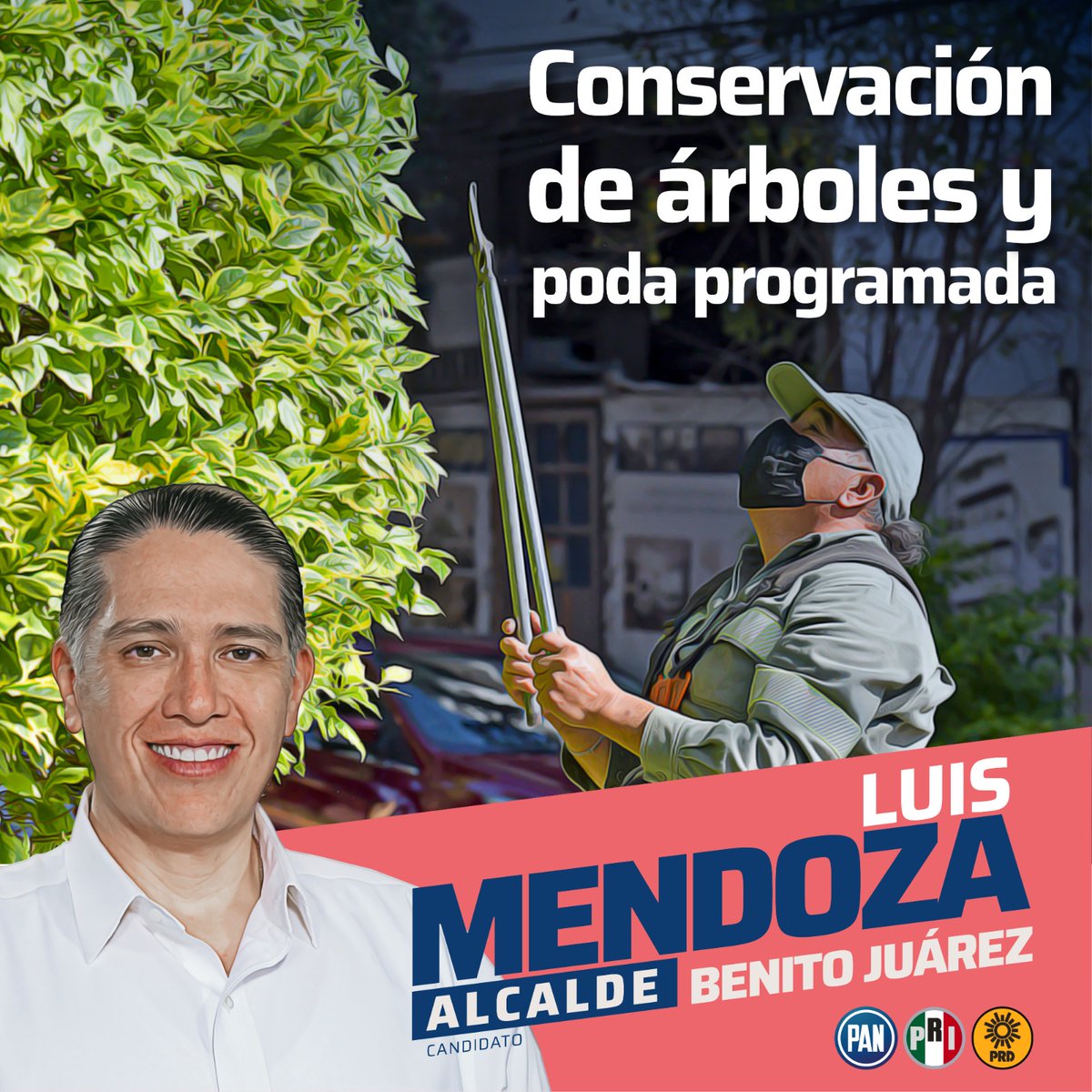 Los árboles son vida, ellos contribuyen a que el aire que respiramos esté limpio y es primordial que se les dé un correcto mantenimiento. Por eso implementaré la poda programada para su conservación y cuidado. #TransformacionUrbana Conoce más aquí: luismendozaa.com/propuestas/