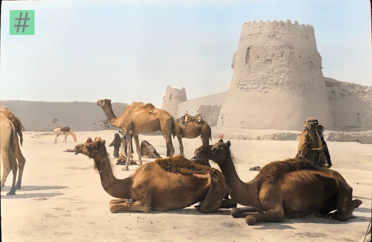 hashalhsa's tweet image. صورة: قافلة من الجمال عند قصر العبيد في مدينة #الهفوف في محافظة #الاحساء 1924 م

من @desertlover79