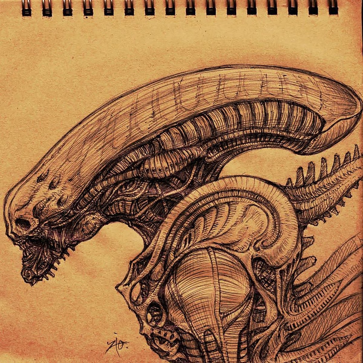 A new fear will be born in the universe...
 #AlienDay #AlienDay24 #AlienDay2024 #AlienRomulus #xenomorph