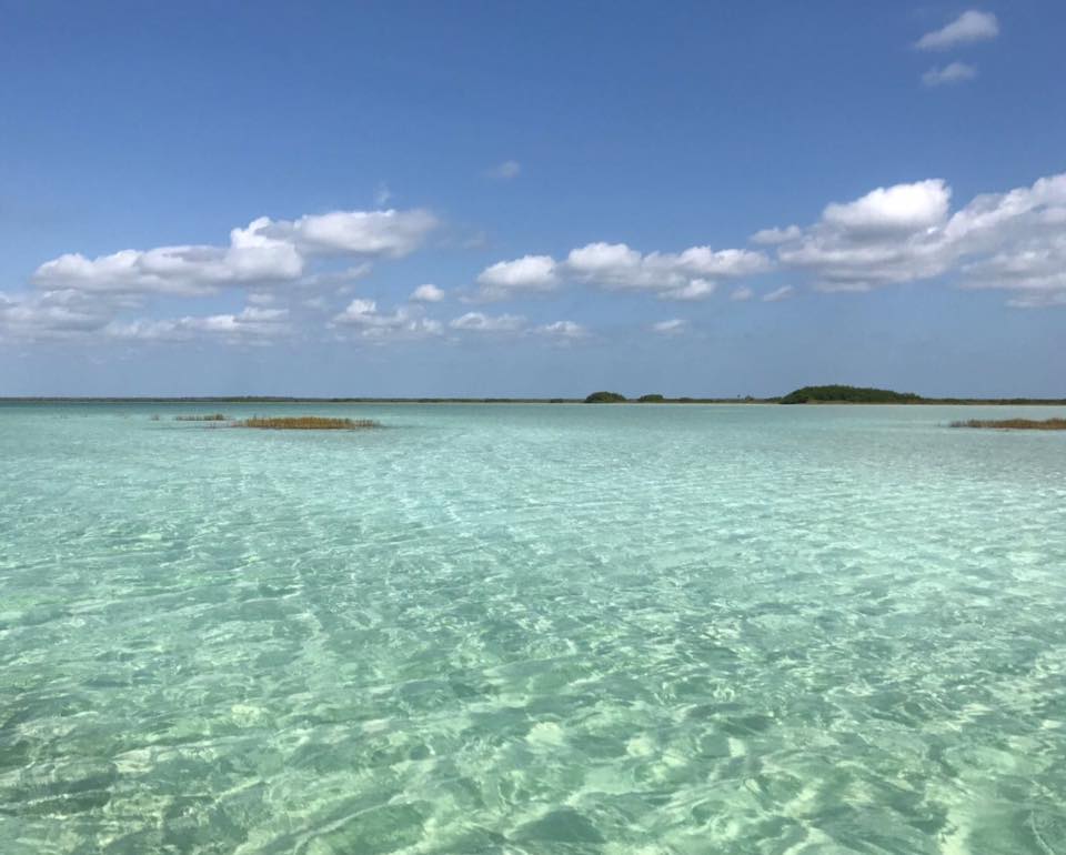 The turquoise waters of Sian Ka'an Biosphere Reserve are simply breathtaking. 🌊 This UNESCO-listed nature park in the Mexican Caribbean is a true paradise🌴 Nature untouched and unforgettable. 
#SianKaan #MexicoTravel #CaribbeanBeauty #ParadiseFound #TulumLife #ExploreMexico