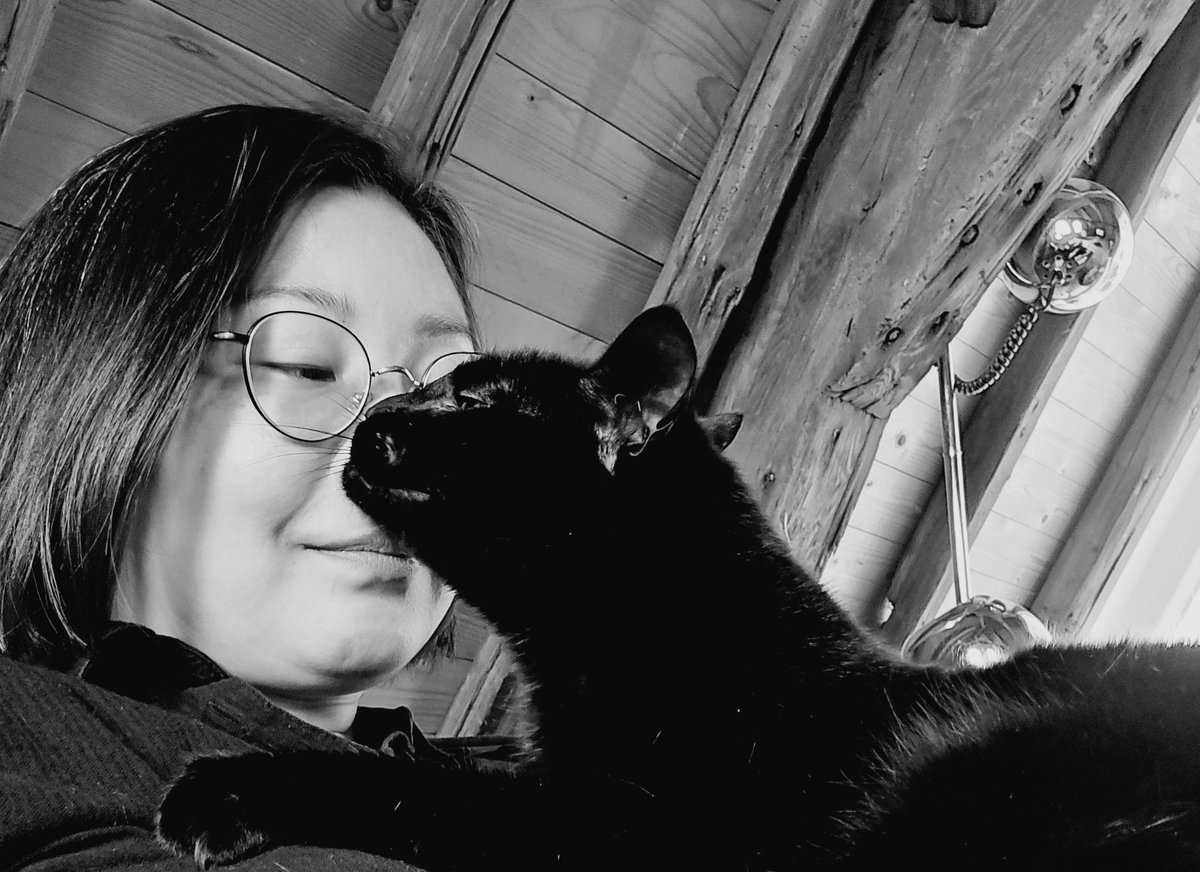 Happy #catsnoirfriday! Alsof a perfect day to give your human a nose boop! ~ Allan Poes 😸🥰
#cats #CatsOfTwitter #CatsOfX #panfursquad #blackcats