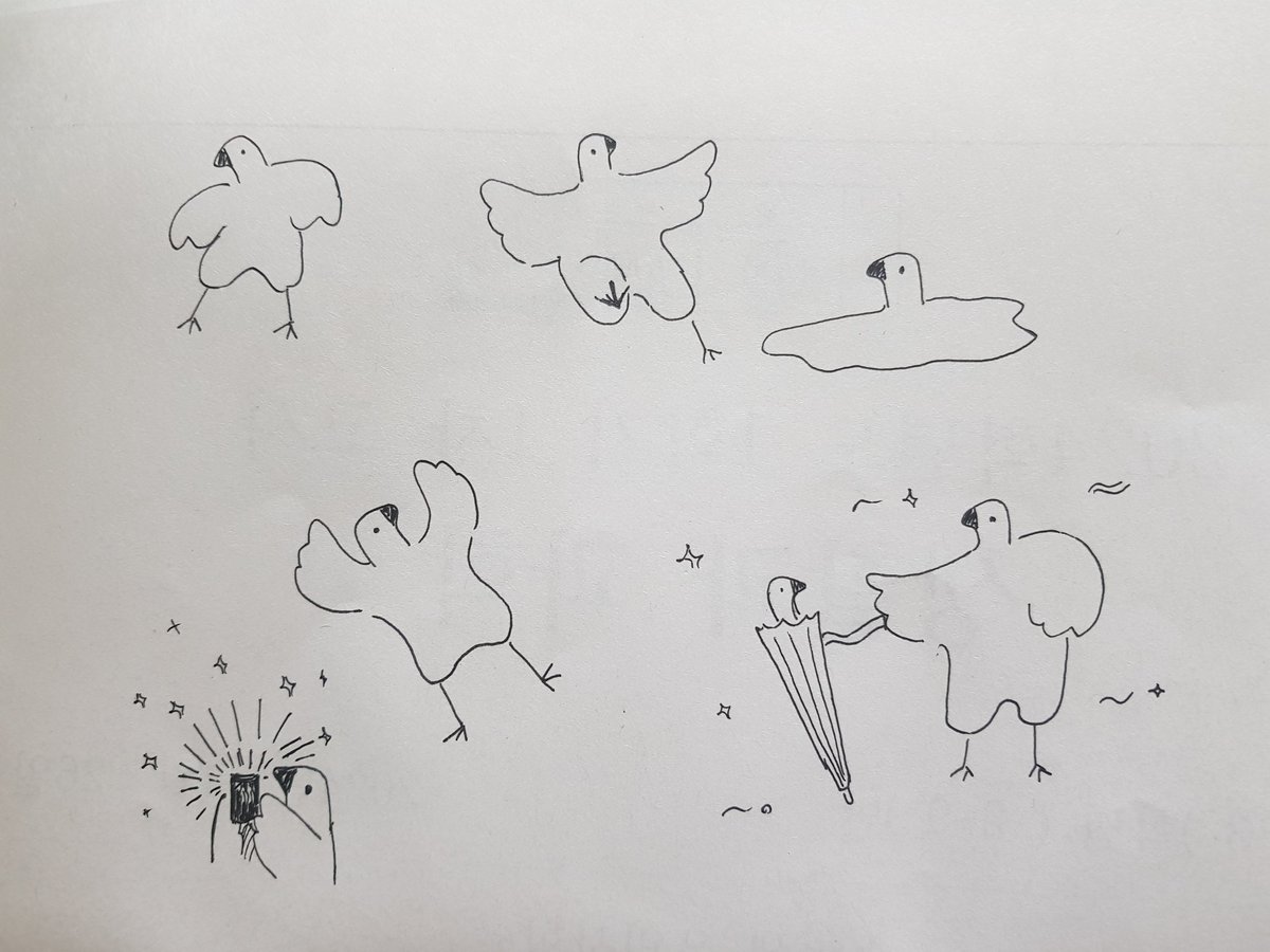 greambe's tweet photo. 웬 이상한 비둘기 https://t.co/98YcCjdJtl
