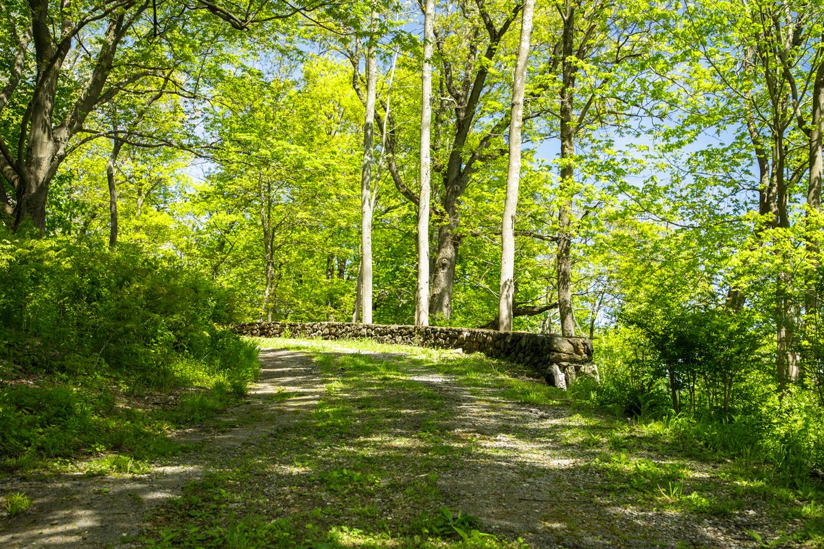 Tarrytown 🌿
NY

#newyork #trees #spring