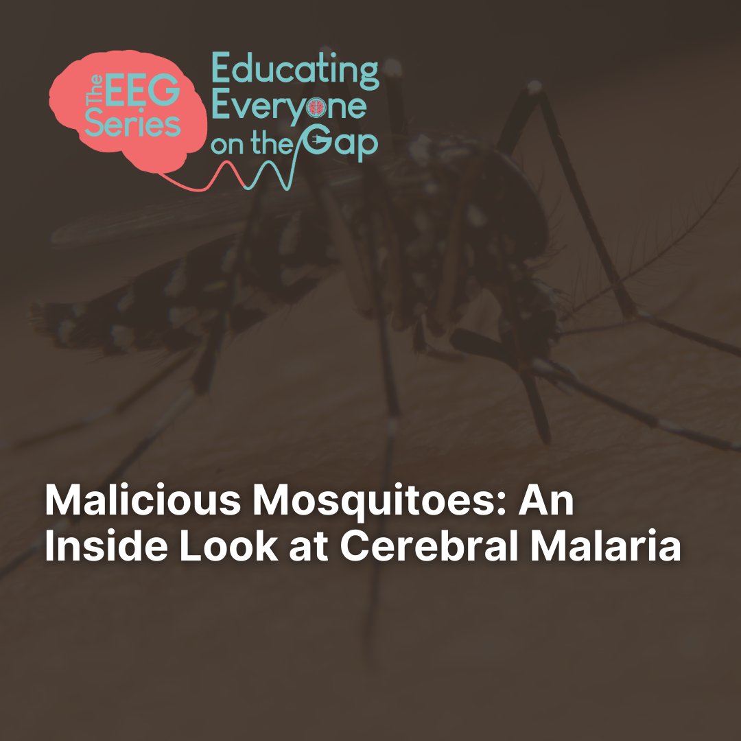 SynapseUofT's tweet photo. April 25th is World Malaria Day! Over the years, we have developed ways to help treat and prevent malaria - but the COVID-19 pandemic made it hard for us to access them. Now, malaria is on the rise. Swipe to learn more about cerebral malaria. (1/2) https://t.co/631gJOPfCD