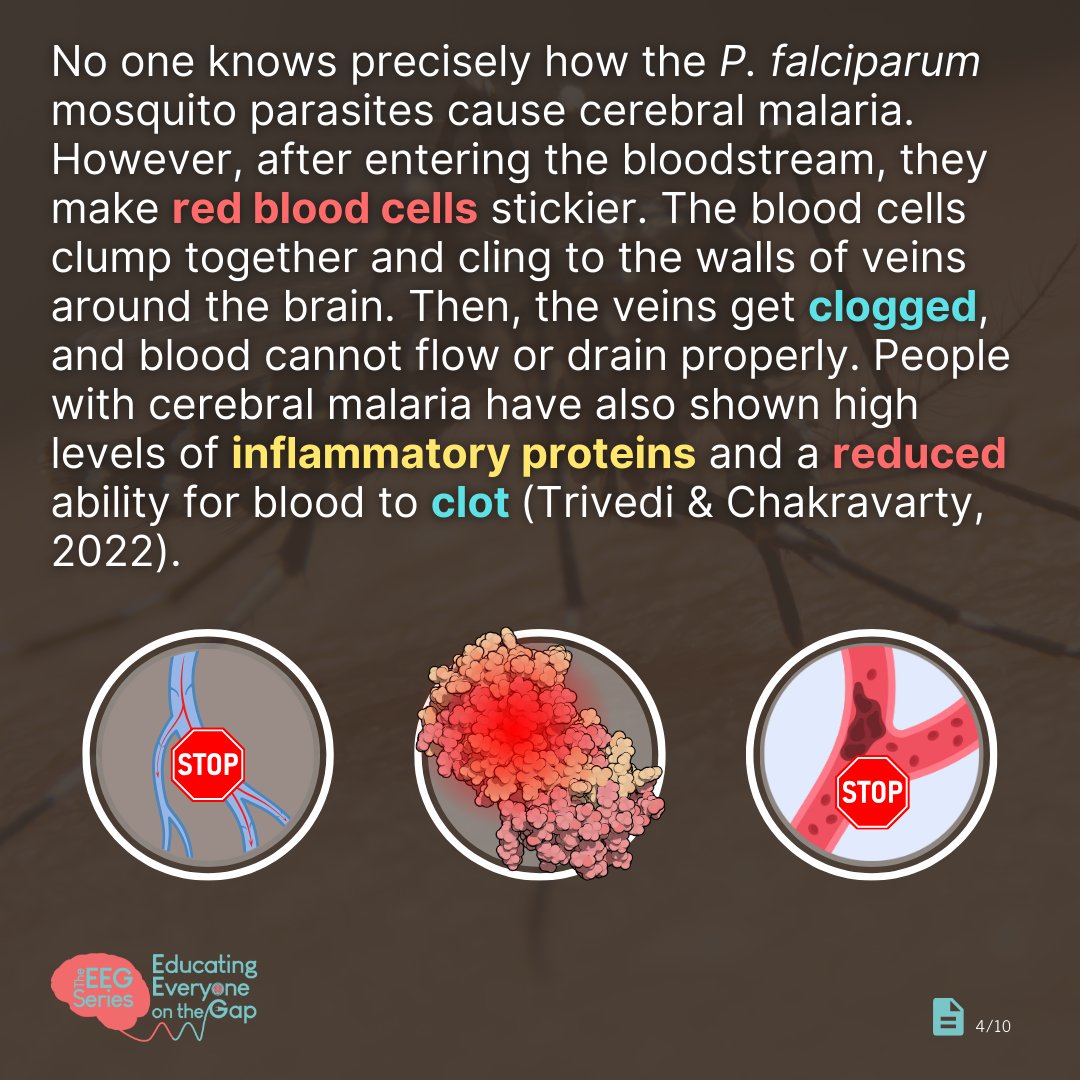 SynapseUofT's tweet photo. April 25th is World Malaria Day! Over the years, we have developed ways to help treat and prevent malaria - but the COVID-19 pandemic made it hard for us to access them. Now, malaria is on the rise. Swipe to learn more about cerebral malaria. (1/2) https://t.co/631gJOPfCD