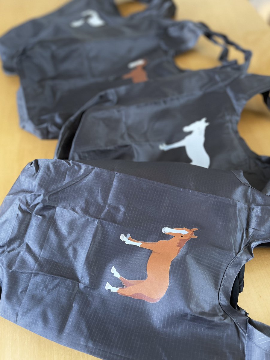 UMAGLOVE 🐴オリジナル馬雑貨売🐴 tweet media