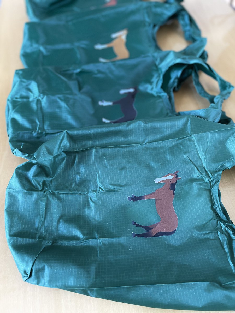 UMAGLOVE 🐴オリジナル馬雑貨売🐴 tweet media