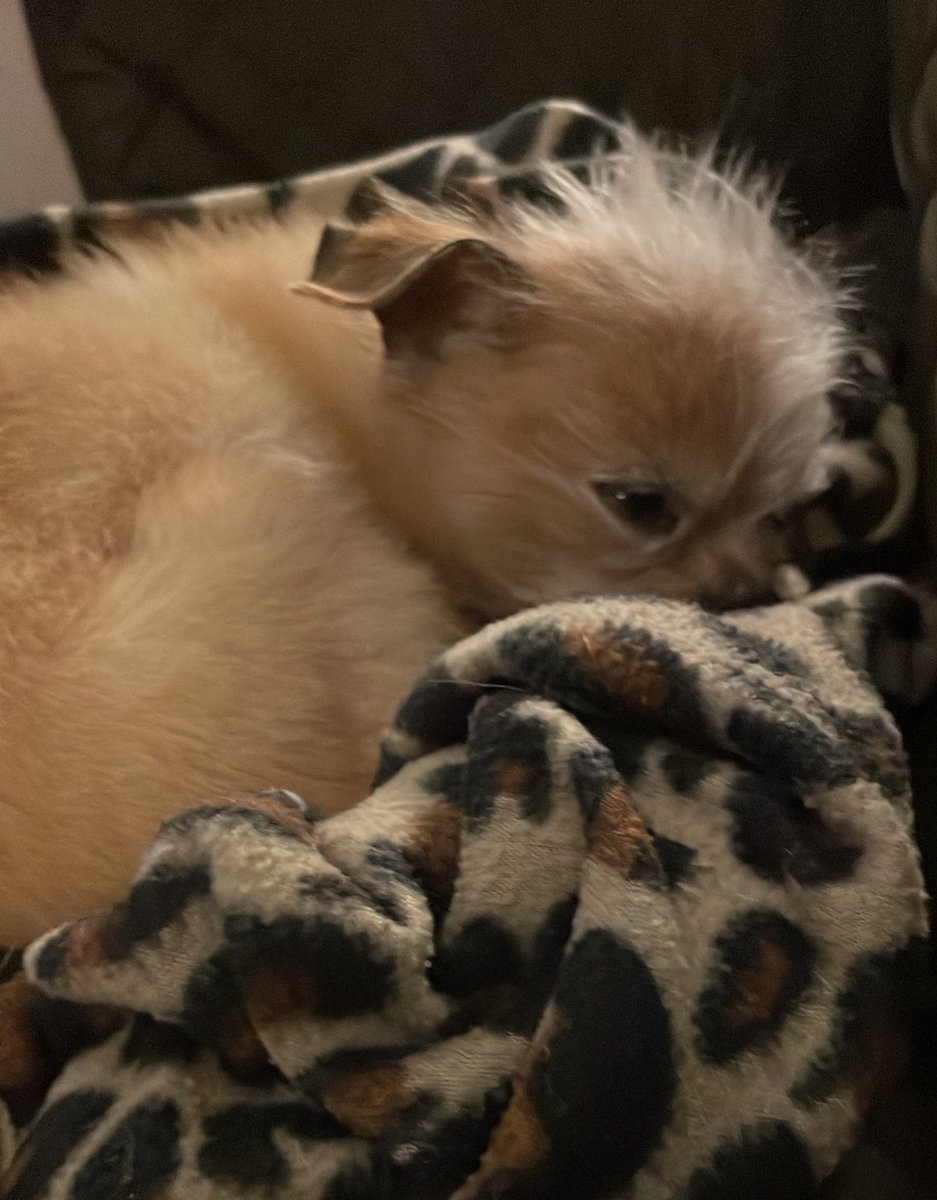 Samson's Mom tweet media