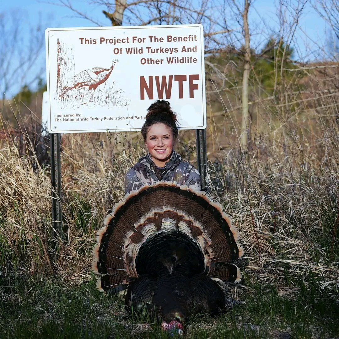 First ever Merriam's turkey and on public! This was one of my best hunts to date! The footage is AMAZING!!
•
•
#diy #selffilm #publicland #turkeytour #turkeyseason #nwtf