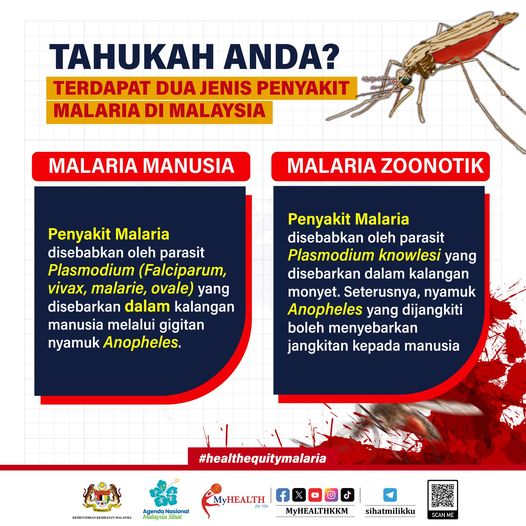 Terdapat dua jenis penyakit Malaria di Malaysia iaitu Malaria Manusia dan Malaria Zoonotik.

#ANMS #healthequitymalaria #sihatmilikku