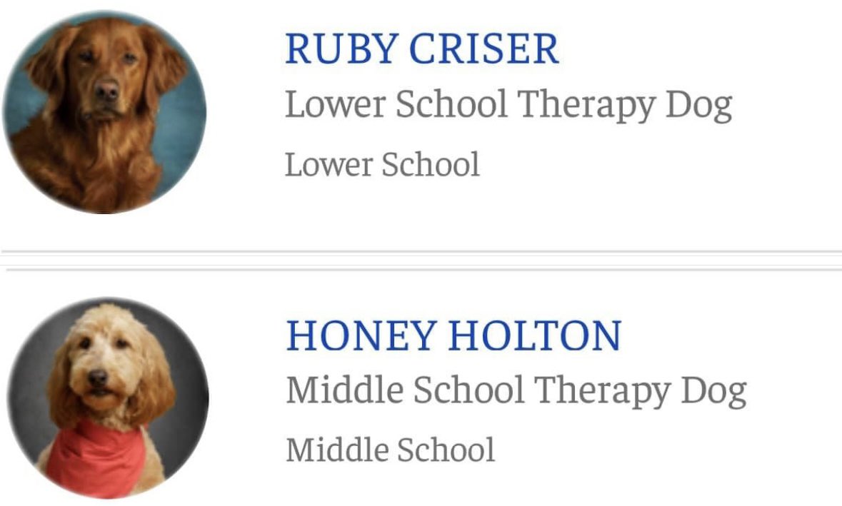 Omigoodness! The school I’m going to tomorrow has these two listed with the rest of the staff! It’s going to be such a good day. 😊