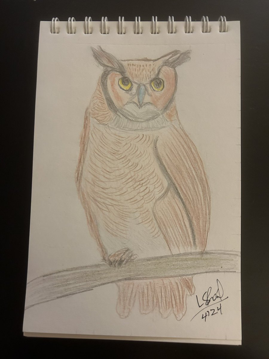 “Owl” 6x9 Colored Pencil.  #art #wildlife #portraits #owls #birds #coloredpencils
