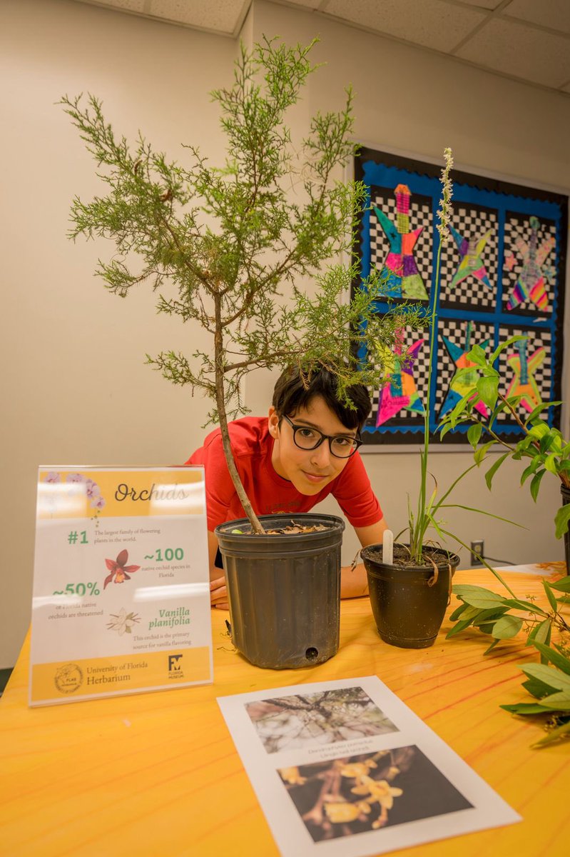 Lucas C. Majure (@gloquidias) on Twitter photo Had so much fun tonight at Littlewood STEAM night talking about plants to the kiddos. Gabriel talked about native FL orchids and Tristan about ancient Miocene sharks! Thanks <a href="/marpajuelo/">Mariela Pajuelo</a> for the photos! @FLAS_herb <a href="/FloridaMuseum/">Florida Museum</a> Had so much fun tonight at Littlewood STEAM night talking about plants to the kiddos. Gabriel talked about native FL orchids and Tristan about ancient Miocene sharks! Thanks <a href="/marpajuelo/">Mariela Pajuelo</a> for the photos! @FLAS_herb <a href="/FloridaMuseum/">Florida Museum</a>