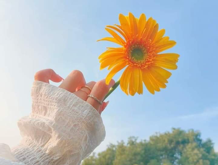 Assalamualaikum 💚

The Best Gift You Can Give To Someone Is Dua 🤲🧡

Jummah Mubarak ✨❤️