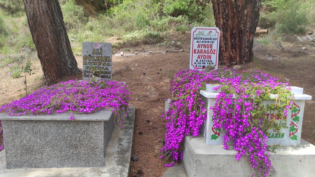 Village Cemetery 🪦, Sarıpınar, Alaşehir, Manisa, Turkey (Sarıpınar Köy Mezarlığı, Alaşehir, Türkiye)