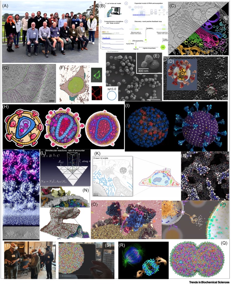 Trends in Biochemical Sciences (@trendsbiochem) on Twitter photo Online now - the Scientific Life "CellVis2: a conference on visualizing the molecular cell" from Ludovic Autin, <a href="/dsgoodsell/">David S. Goodsell π³οΈβπ</a>, Ivan Viola, and Art Olson.
#dataintegration #datasharing #3Dmodeling #communication #visualization
authors.elsevier.com/a/1i%7Ebx3S6Gfβ¦ Online now - the Scientific Life "CellVis2: a conference on visualizing the molecular cell" from Ludovic Autin, <a href="/dsgoodsell/">David S. Goodsell π³οΈβπ</a>, Ivan Viola, and Art Olson.
#dataintegration #datasharing #3Dmodeling #communication #visualization
authors.elsevier.com/a/1i%7Ebx3S6Gfβ¦