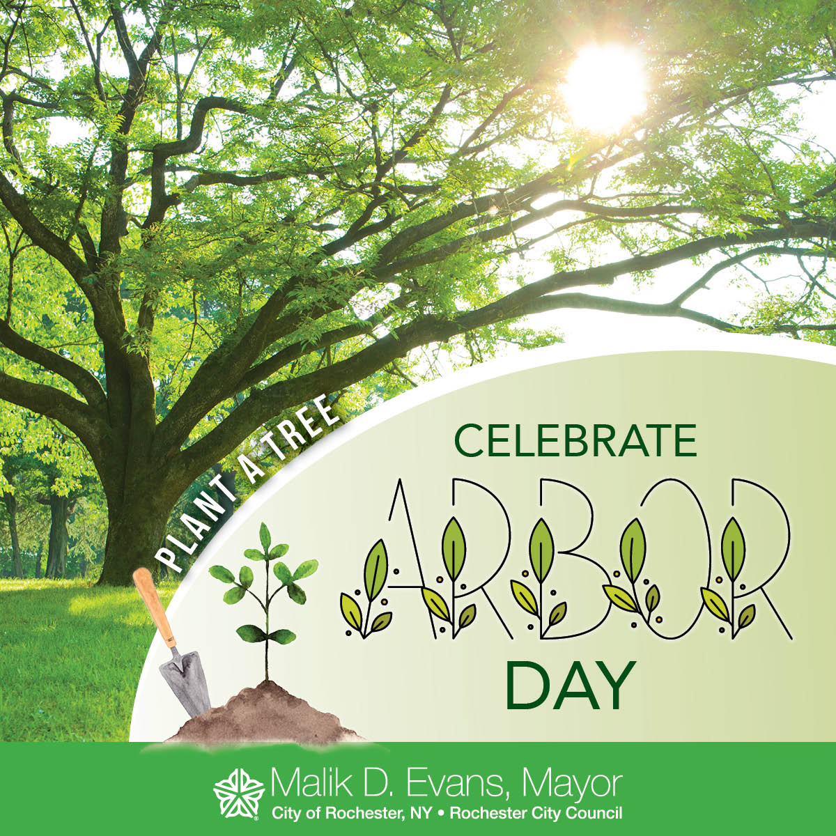 Happy Arbor Day, Rochester! Today, we celebrate the beauty and importance of trees in our city. Trees provide us with clean air, shade on sunny days, and a vibrant environment for all to enjoy.