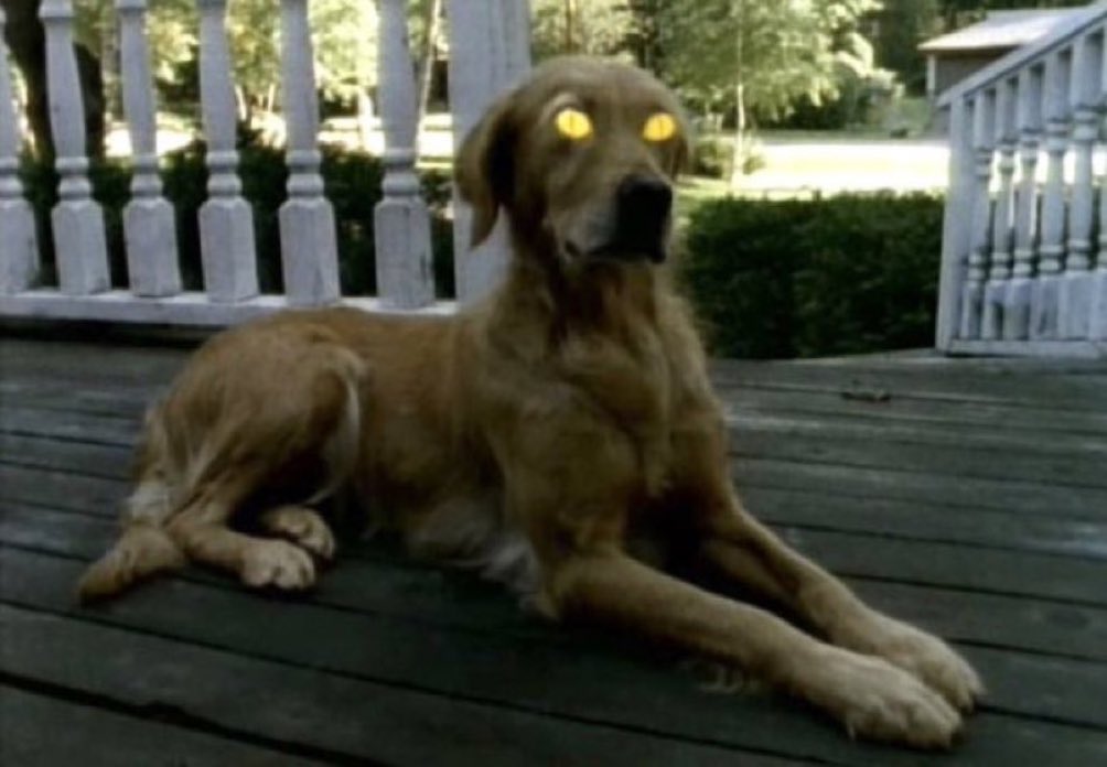 when the edibles kick in