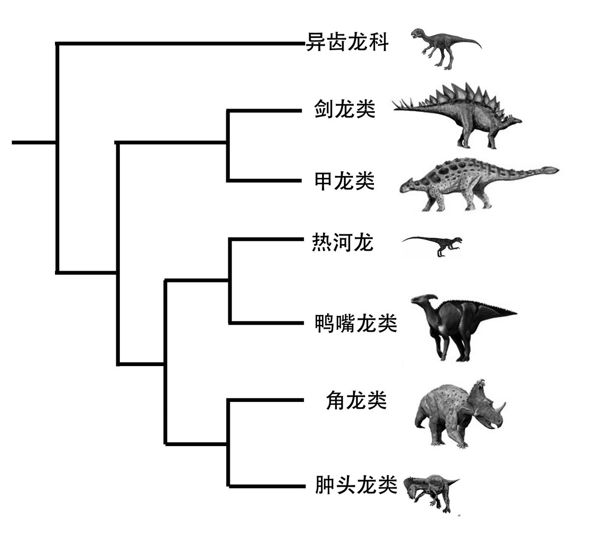 YourChinaStudy tweet picture