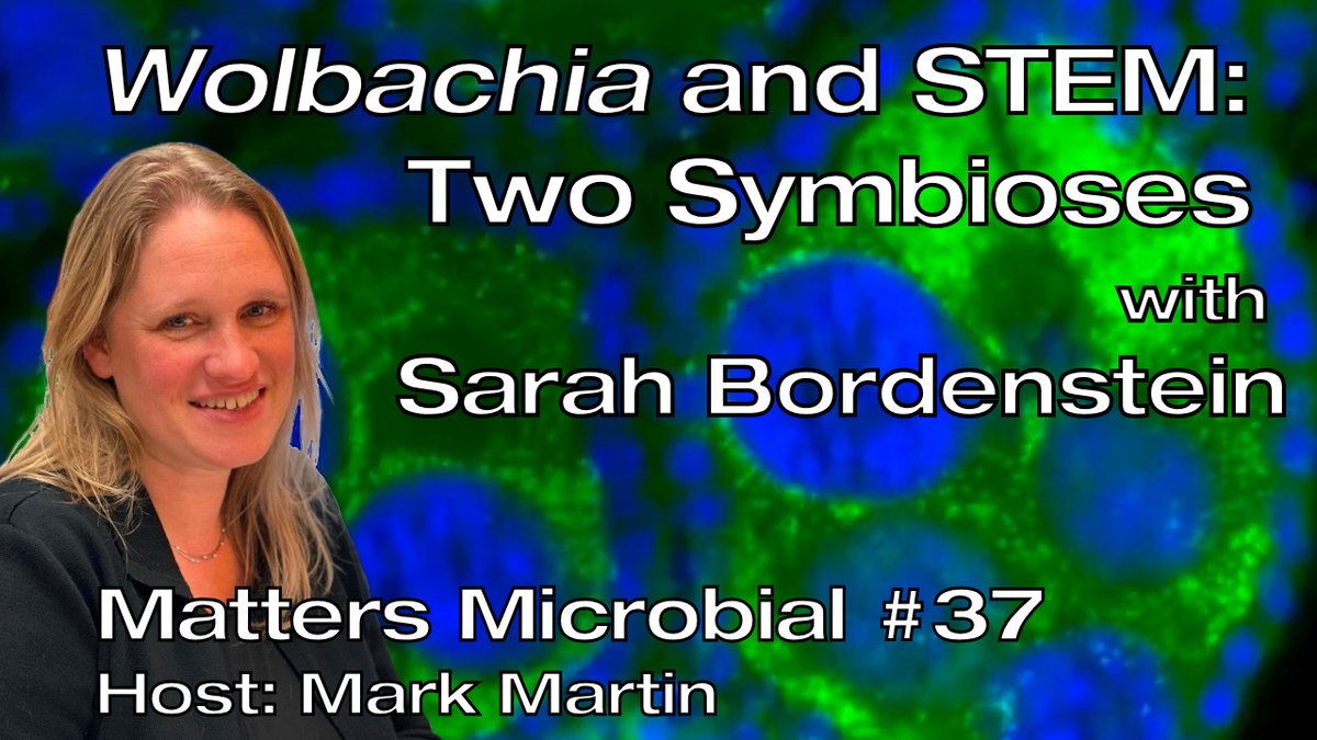 Sarah Bordenstein, Assoc Research Prof of Bio & Entomology at @penn_state & Director of Discover the Microbes Within! The Wolbachia Project, tells us about the most successful pandemic on the planet, the fascinating endosymbiotic bacterium Wolbachia. 📺 bit.ly/3UzEfty