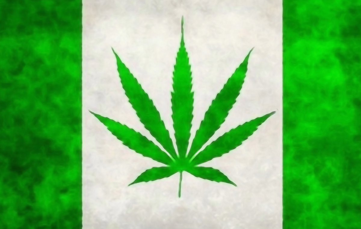 Canada 🇨🇦 We love the leaf 💚🌿✌️😎
#StonerFam #WeedLife #CannabisCommunity #CanadianCannabis #cannabisculture #WeedLovers #420life #Weedart #Weedporn #LeafArt