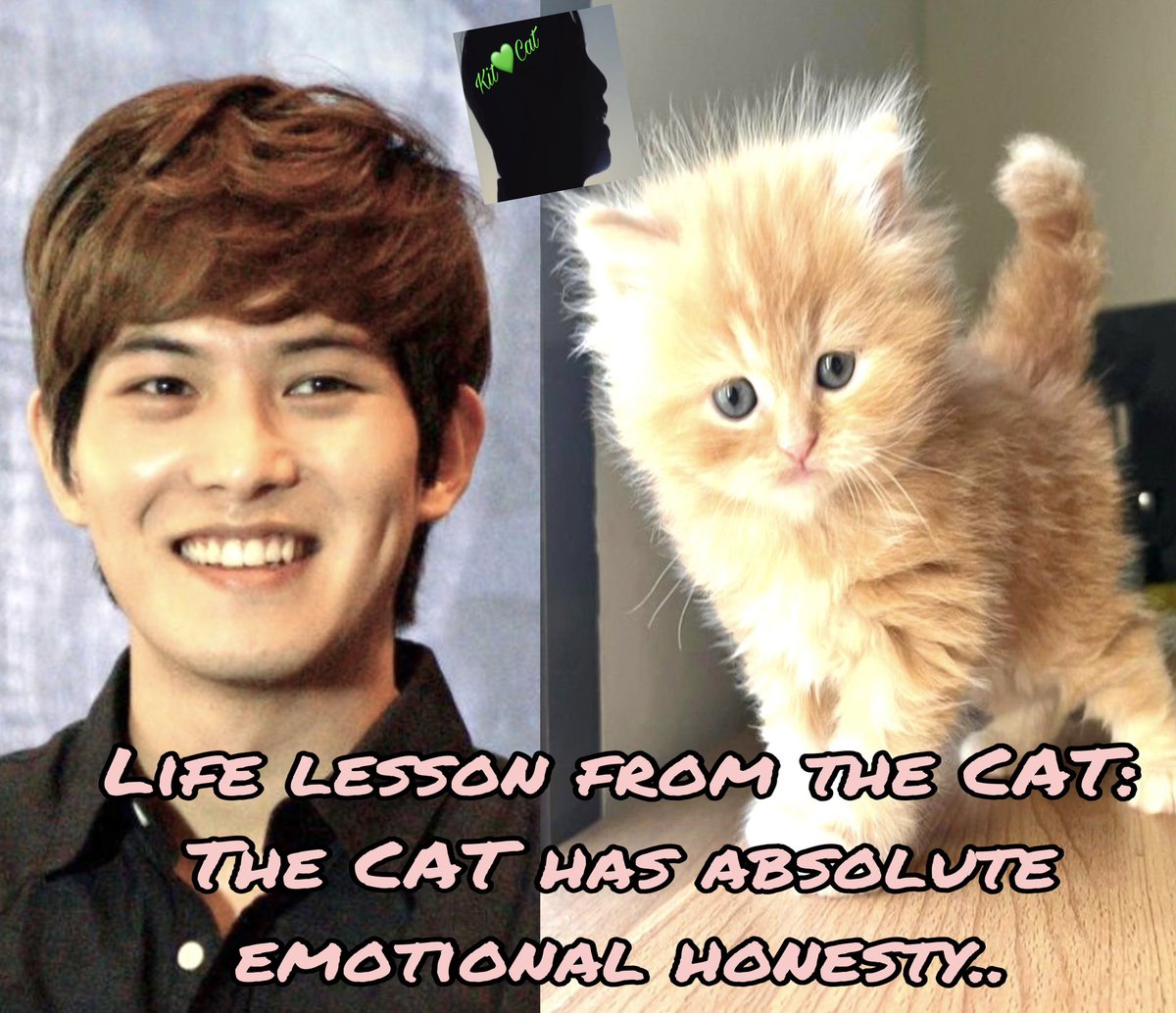 @cnbluegt 1218) Life lesson..
💚💚💚 
💚@cnbluegt💚
#cnbluegt
#LeeJongHyun 
#comebacktousljh
#OneLeeJongHyun
#NobodyButYouLJH
#protectleejonghyun
#StandbyLeeJongHyun
#이종현 
#イ·ジョンヒョン
#無言で大好きなJHの写真をあげてみた