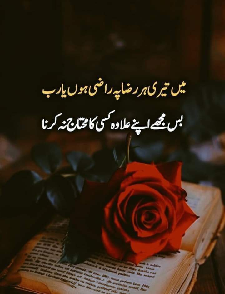 یارب العالمین ہم سب کو اپنے علاوہ کسی کا محتاج نہیں رکھنا آمین یارب العالمین Subah bakhair friends #ซินเทจ