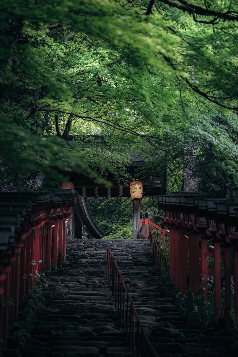 春から夏へ
新緑の貴船神社
#貴船神社　#東京カメラ部