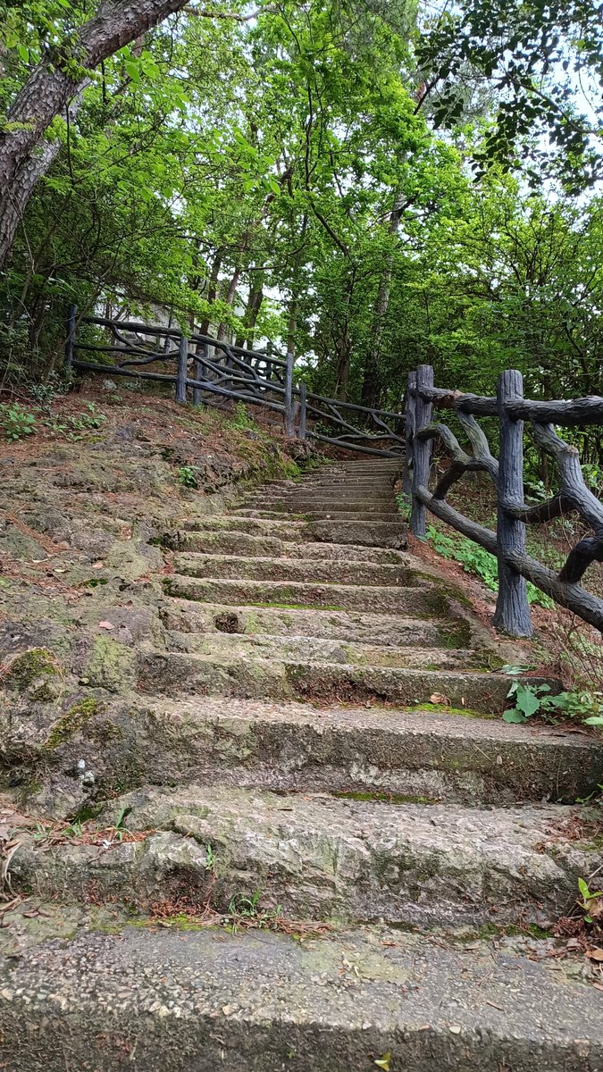 美好的事物，总是曲折地接近自己.
