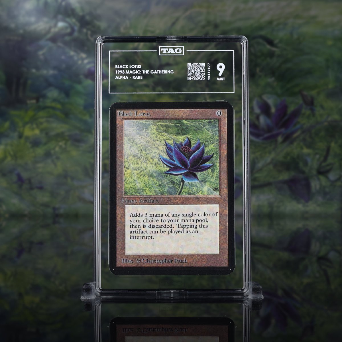 TAGgrading's tweet image. We are proud to unveil another milestone TAG'd card: Magic: the Gathering's legendary Alpha Black Lotus, with a stellar 920 (Mint 9) Score on TAG's 1000 point scale. 

Repost and Like for a chance to win a $100 TAG Gift Card! You can also try your luck at ripping a digital pack…