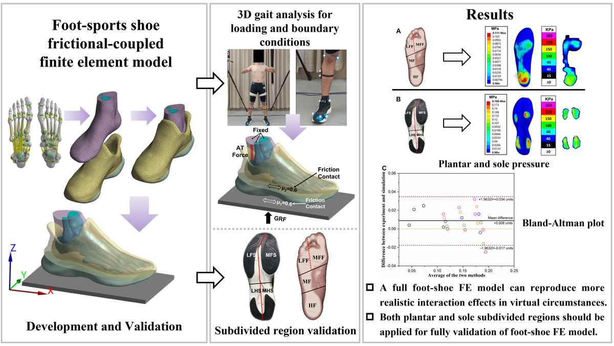 Bioeng_MDPI's tweet image. 🔬 Excited to share the publication on &quot;Development and Validation of a Subject-Specific Coupled Model for Foot and Sports Shoe Complex: A Pilot Computational Study&quot; 👉 mdpi.com/2306-5354/9/10…

#finite_element_modeling #foot #sport #biomechanics  #Balance #model