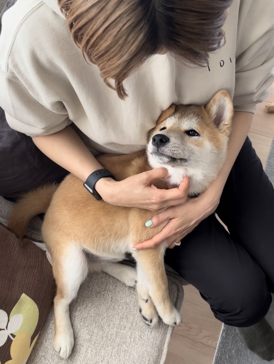 きれいなおねいさんに、 でれんでれんになった日🐶💘💘💘