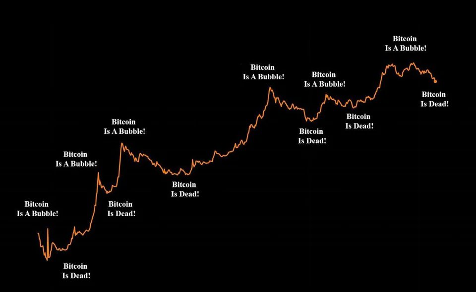 BIXIN.COM tweet media