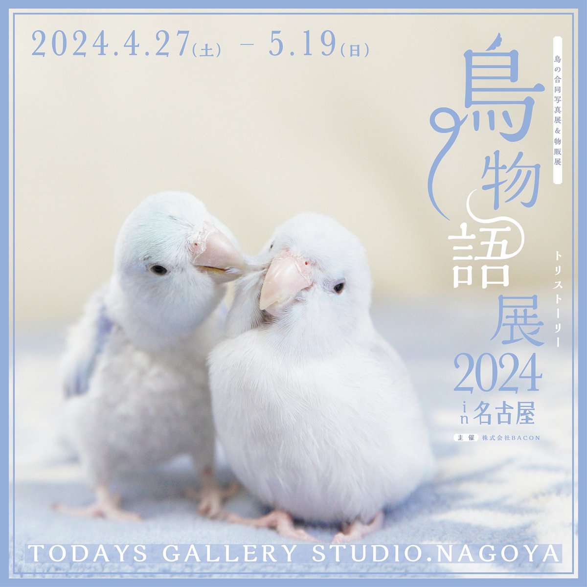 明日、4月27〜5月19日まで、名古屋のtodays gallery studioさんにて鳥の合同写真展&物販展</br>「鳥物語トリストーリー展  2024 in 名古屋」 が開催されます…!
いろんな鳥作家さんたちが参加されるのでぜひ皆様足をお運び下さい〜🙇‍♀️✨✨
https://t.co/vQEKOAjz6I 