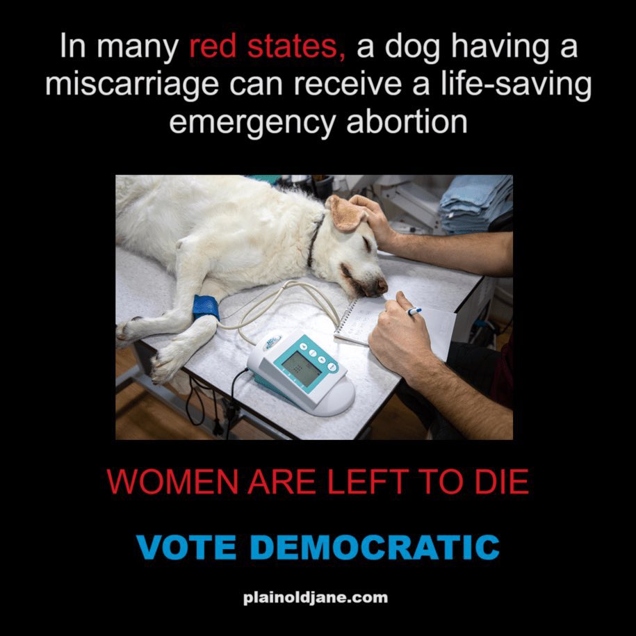 I've been reading up on reproductive health care in dogs & cats. In circumstances where the life of a pregnant female is at risk, safe medication & surgical methods of abortion are available. A great many American women do not get the health care we provide for our cats & dogs.…