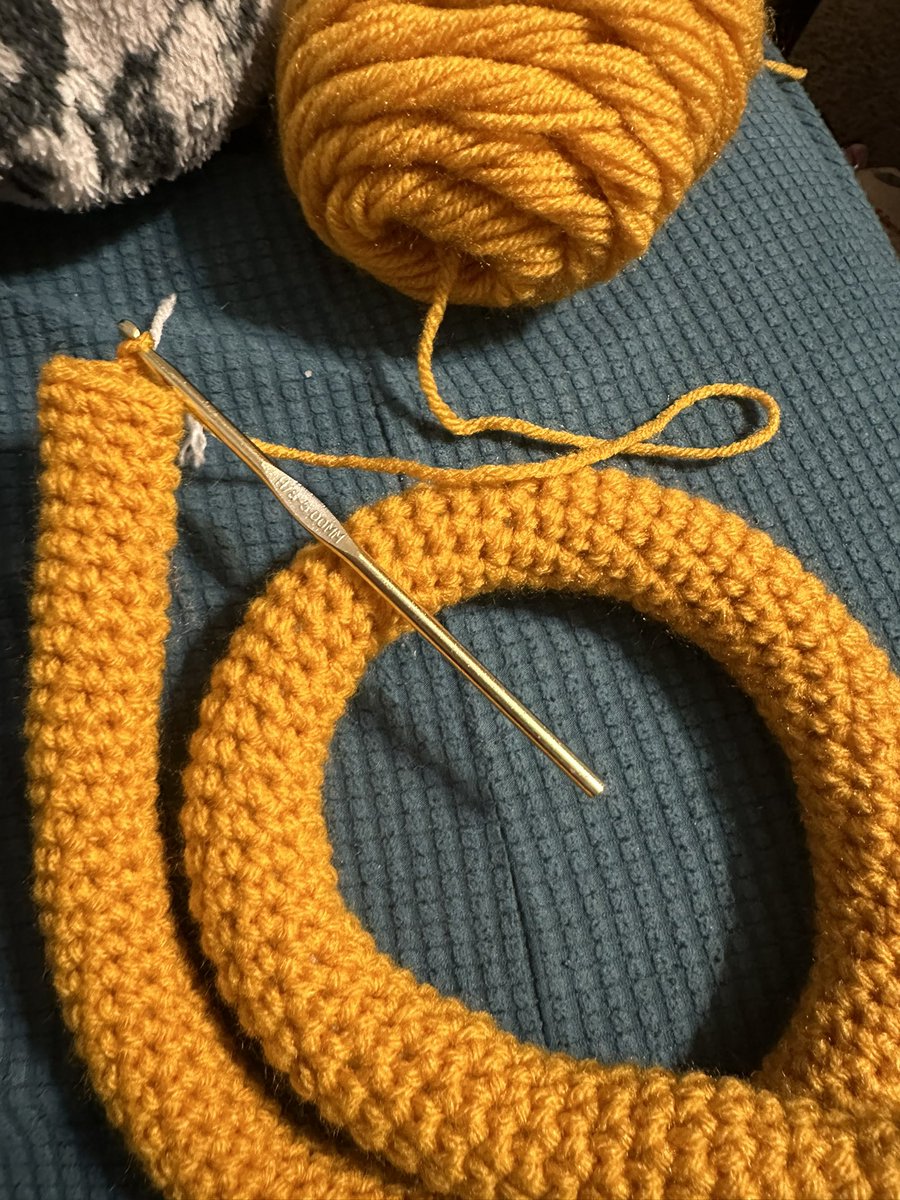 🎵 This is the snake that doesn’t end! It goes on and on my friend! 🎵 Honestly the most tedious part of my current WIP. But it’s coming along. lol #crochet #fiberarts