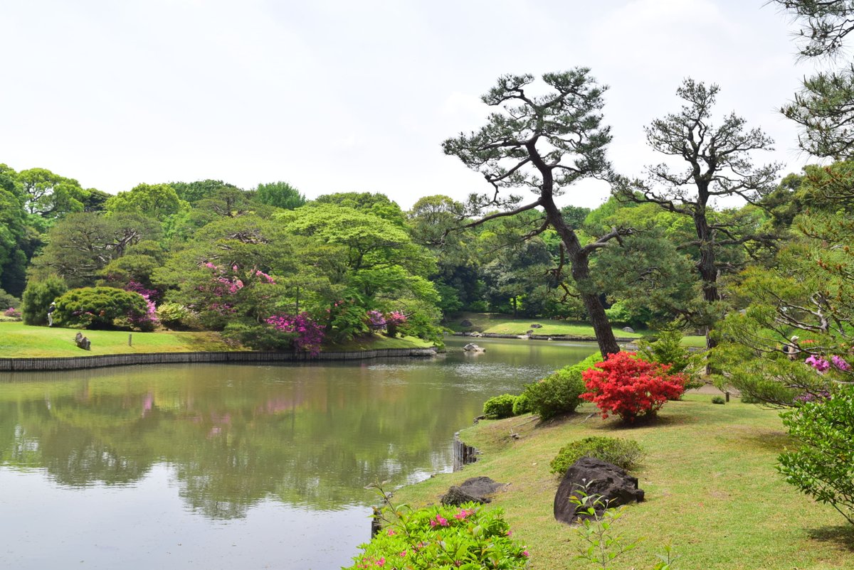 RikugienGarden tweet picture