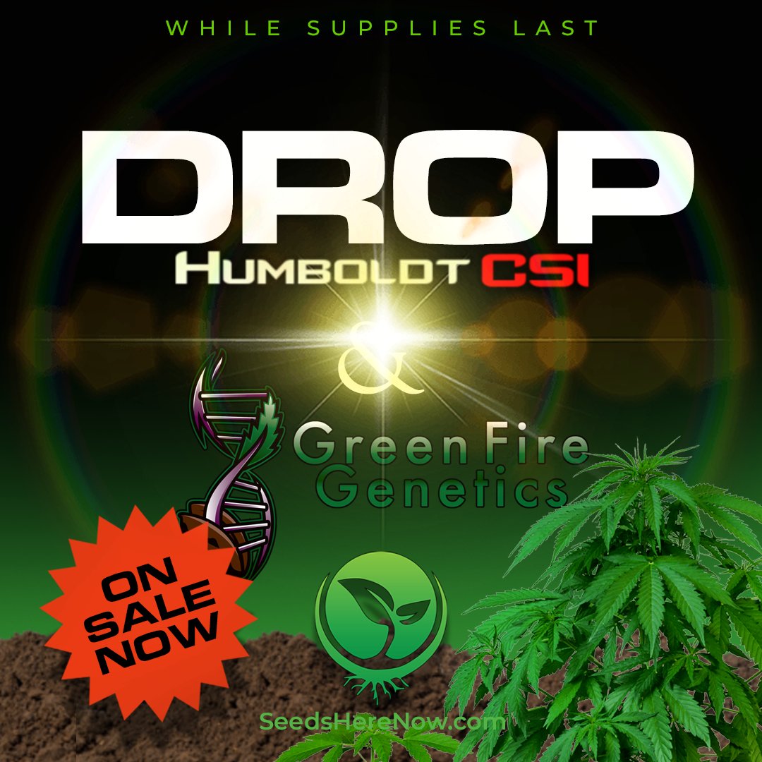 Don’t miss this opportunity to elevate your garden with some of the finest genetics available. Cultivate greatness! Visit: seedsherenoww.com/drops/

#seedsherenow #growbudyourself #CannabisCommunity #cannabislife #420friendly #420Life #cannabisgrowers